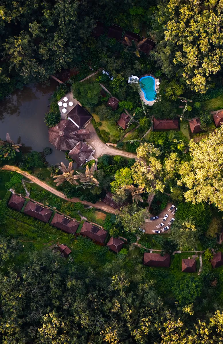 Andasibe National Park rainforest and jungle lodge, Ruthless RN5 Madagascar