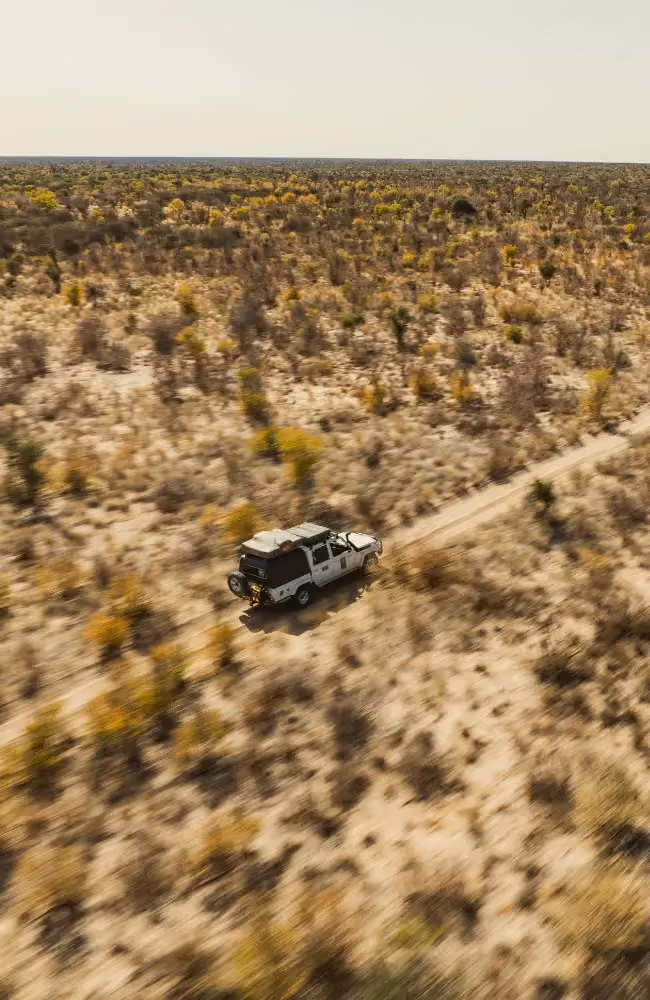 Golden grasslands and pans of Khutse Game Reserve, Great Kalahari Botswana