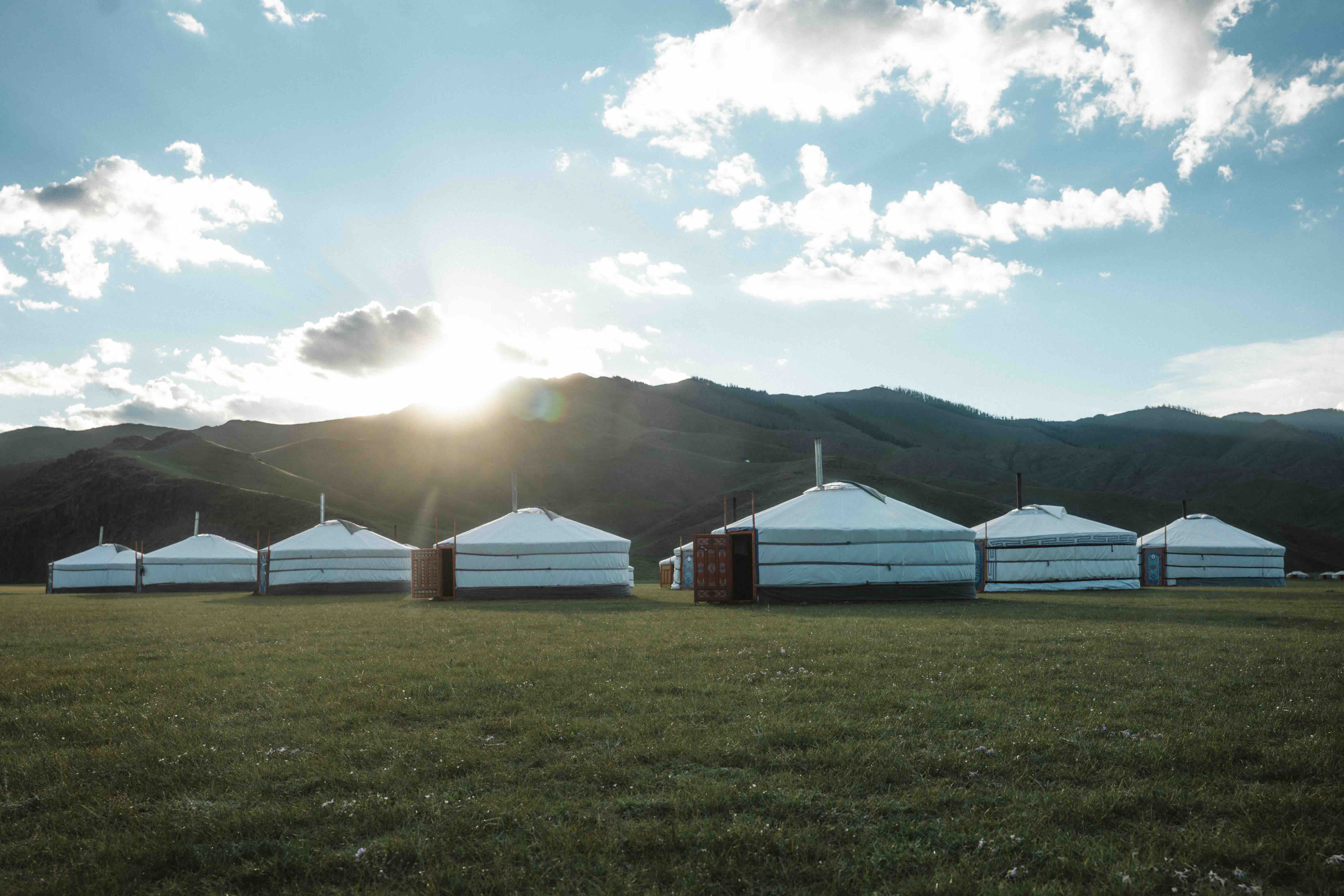 Traditional white Mongolian gers on grassland with mountains in the background at sunrise