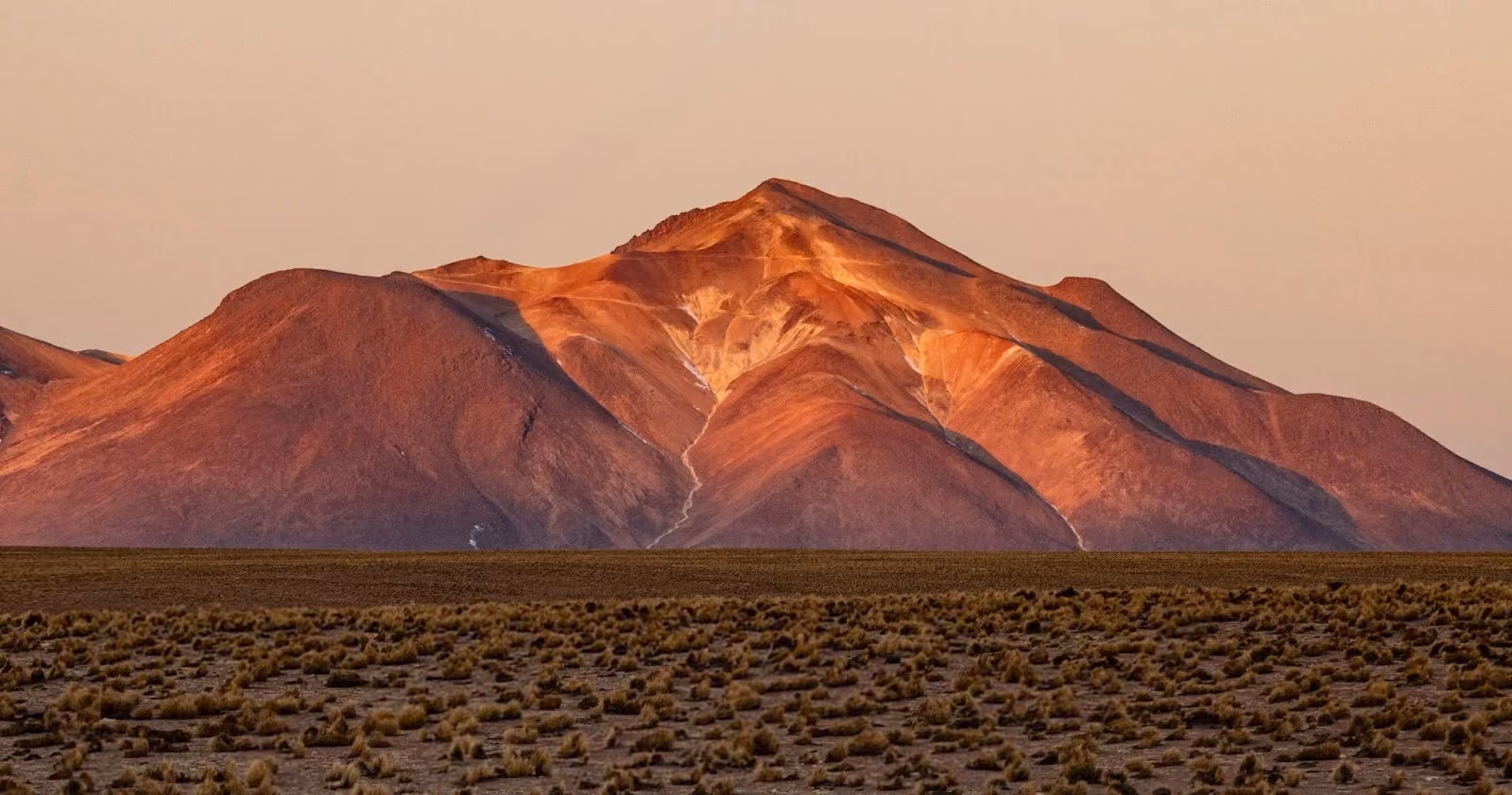 An arid desert plain dotted with low bunchgrass in the foreground, looking toward a large volcanic mountain illuminated by orange and crimson alpenglow light under a pale sky.