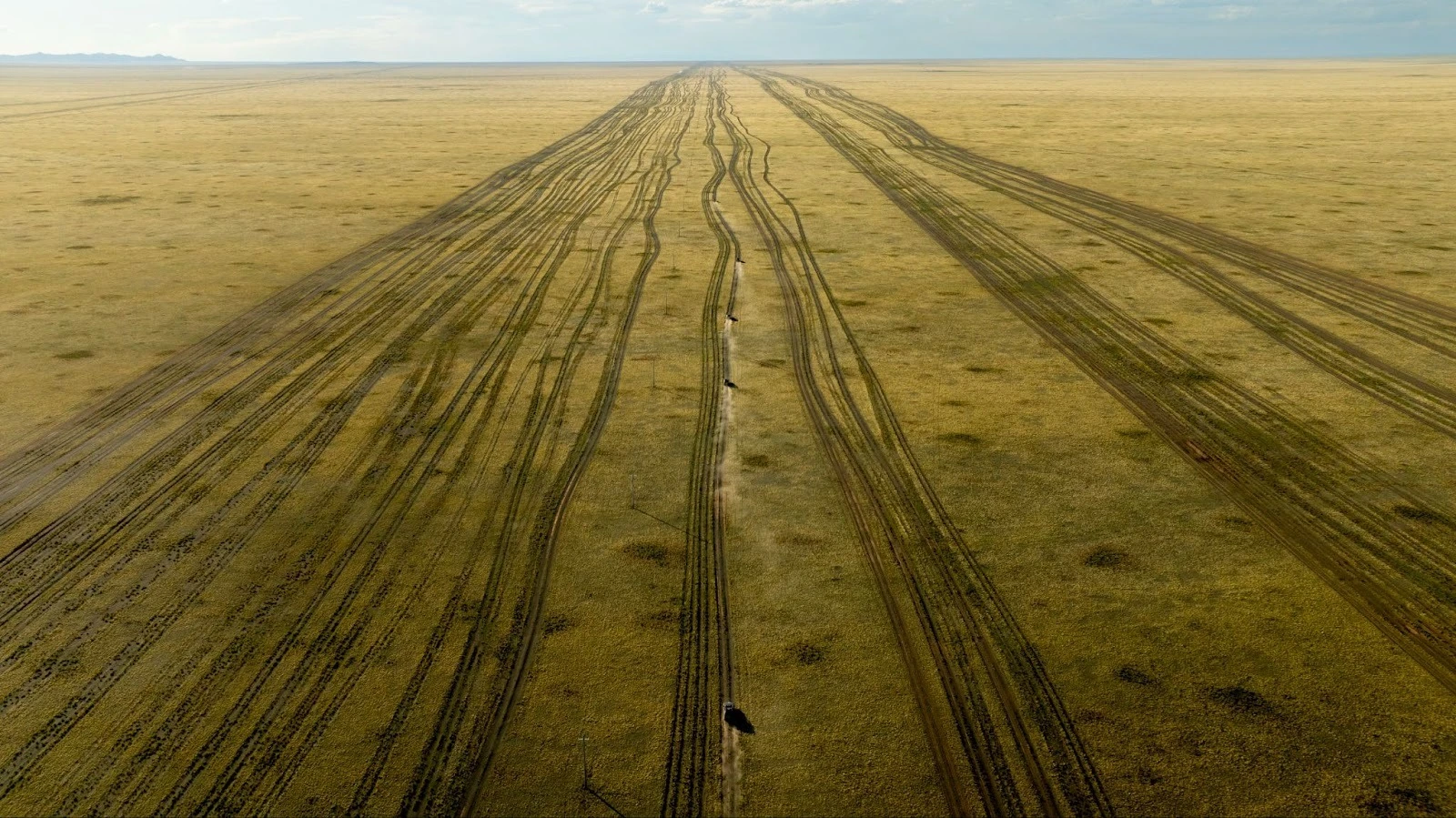 Aerial view of multiple parallel dirt tracks carving through the vast, golden grasslands of the Mongolian steppe during a nomadic road expedition.