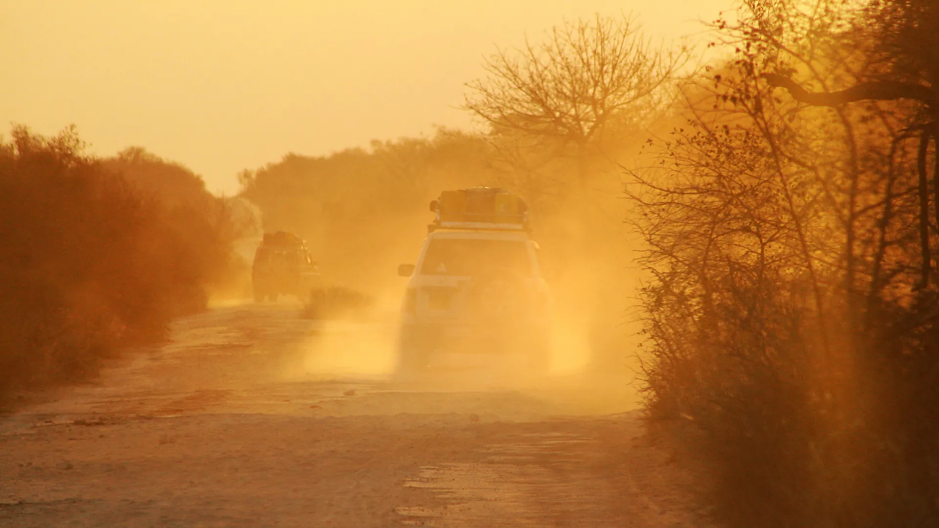 A convoy of 4x4s raising golden dust on a bush track at sunset in Madagascar, Lost Canyons expedition
