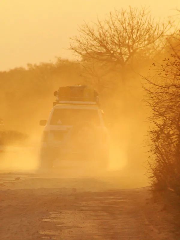 A 4x4 driving through golden dust on a bush track in Madagascar