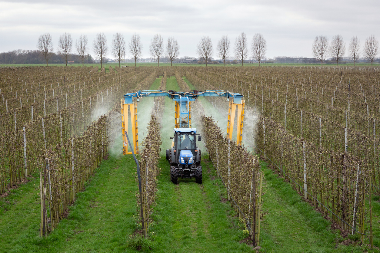 Glyphosate ‘Greatly Increases’ Risk of Liver Damage in Kids and Adults