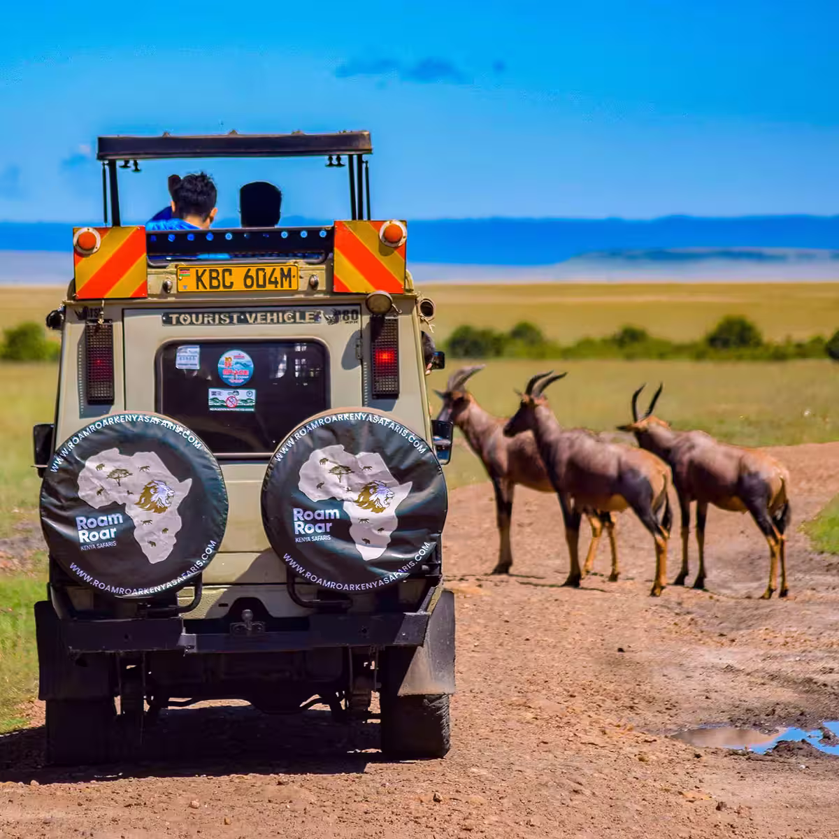 Tourist safari vehicle driving on dirt road near four antelopes in open savannah landscape.