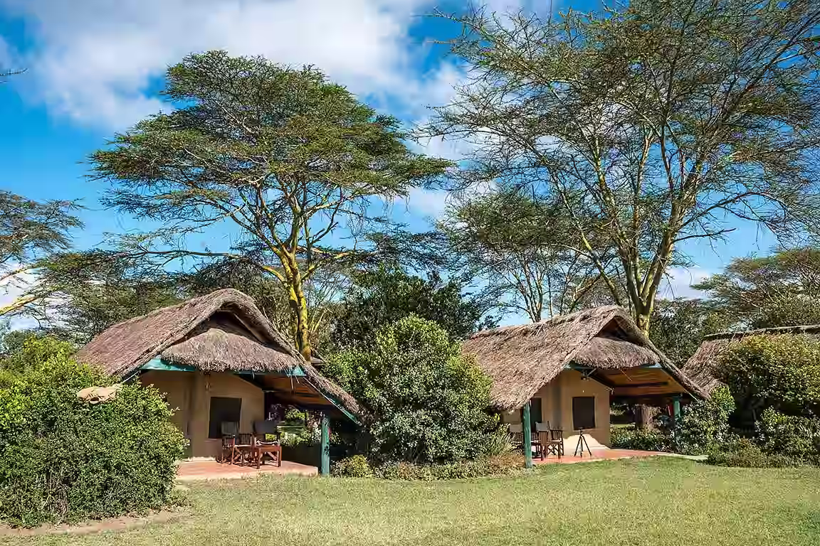 A view of tents nestled in the wilderness at Sweetwaters Serena Camp.