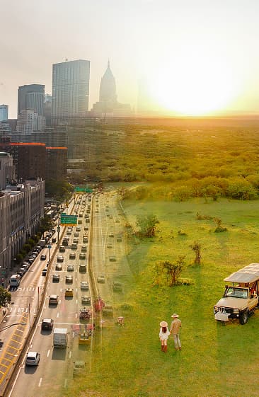 Contrast between a city and safari