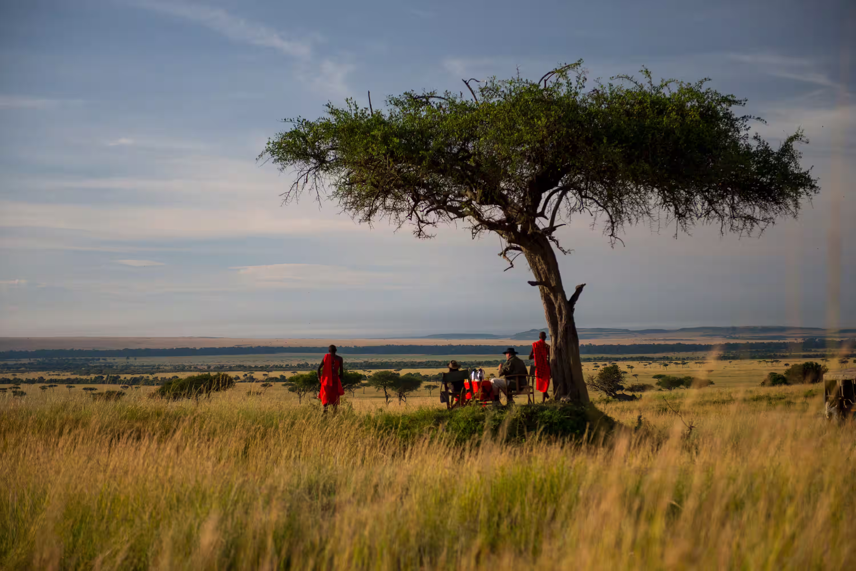 Two guests in safari hats seated under a large acacia tree having a bush breakfast, with two Maasai people standing nearby in a vast savanna landscape.