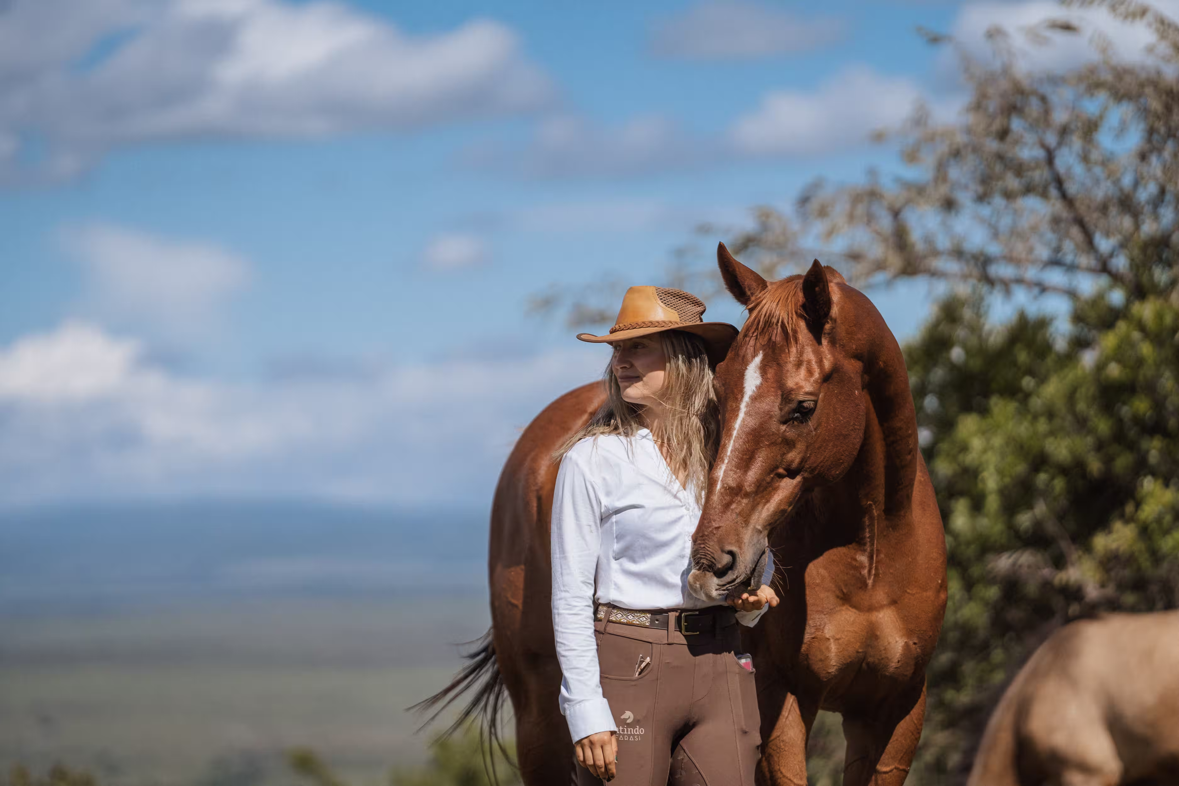 Woman in a brown hat and riding pants standing next to a brown horse in an outdoor setting.