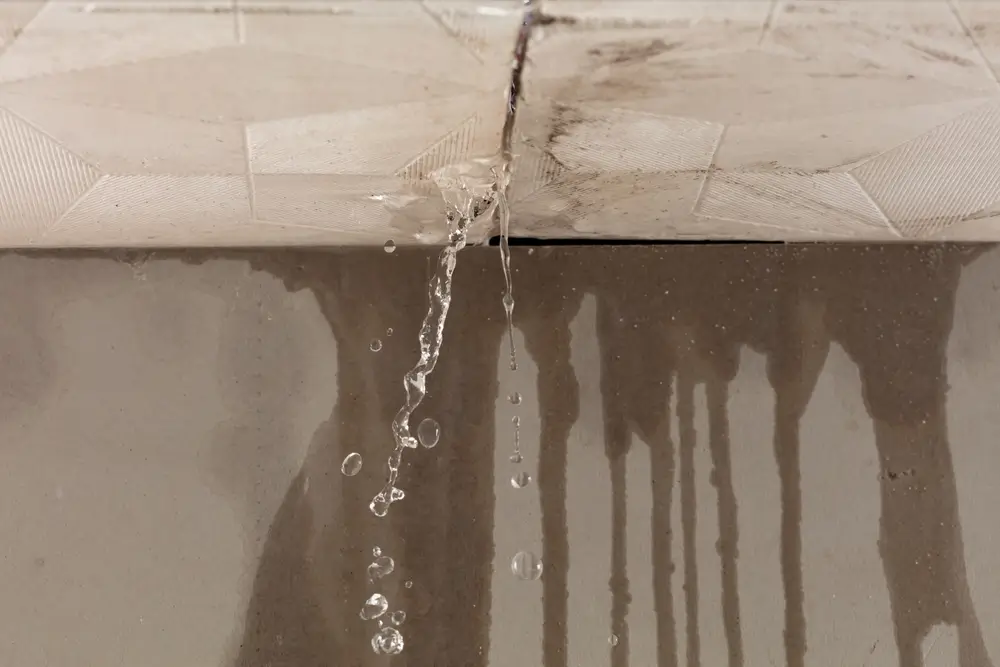Roof Plumbing Sydney