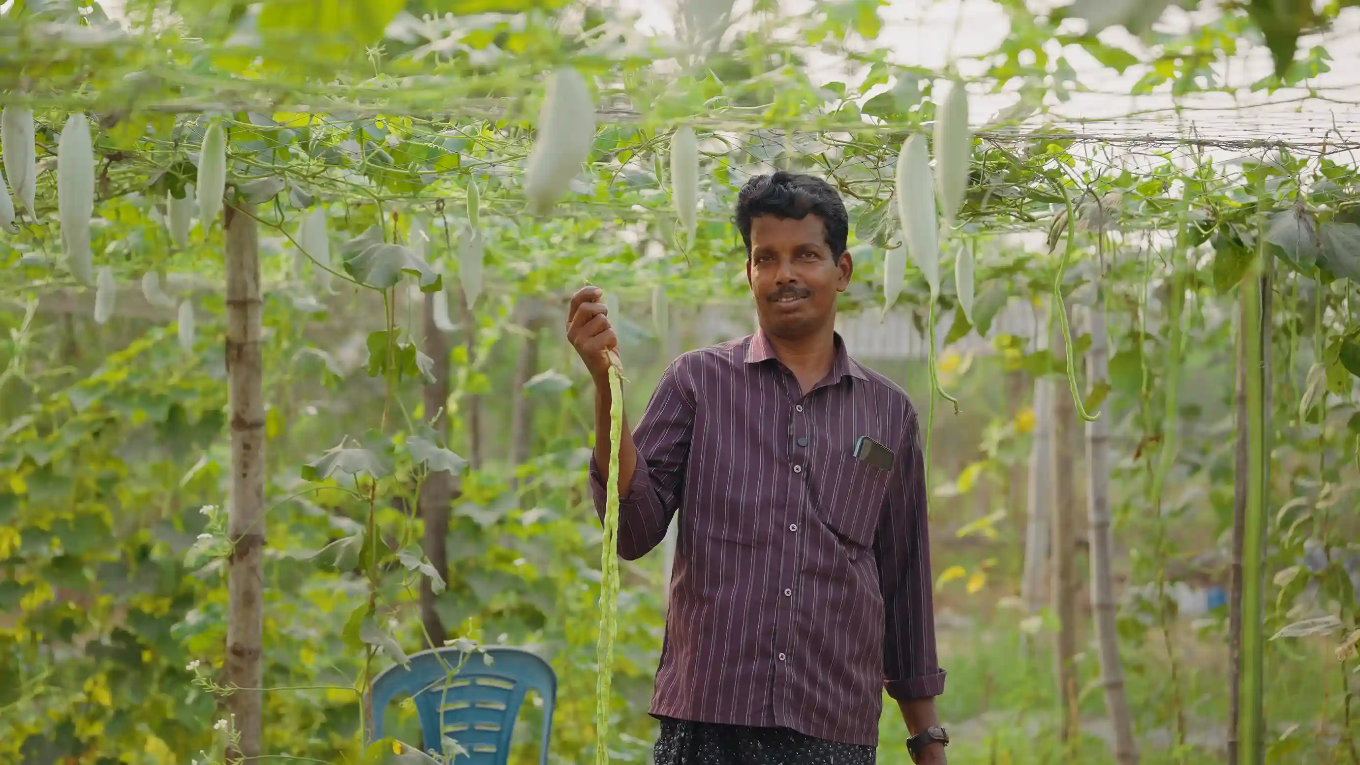 The Infertile Kerala Village That Became India's Organic Farming Model
