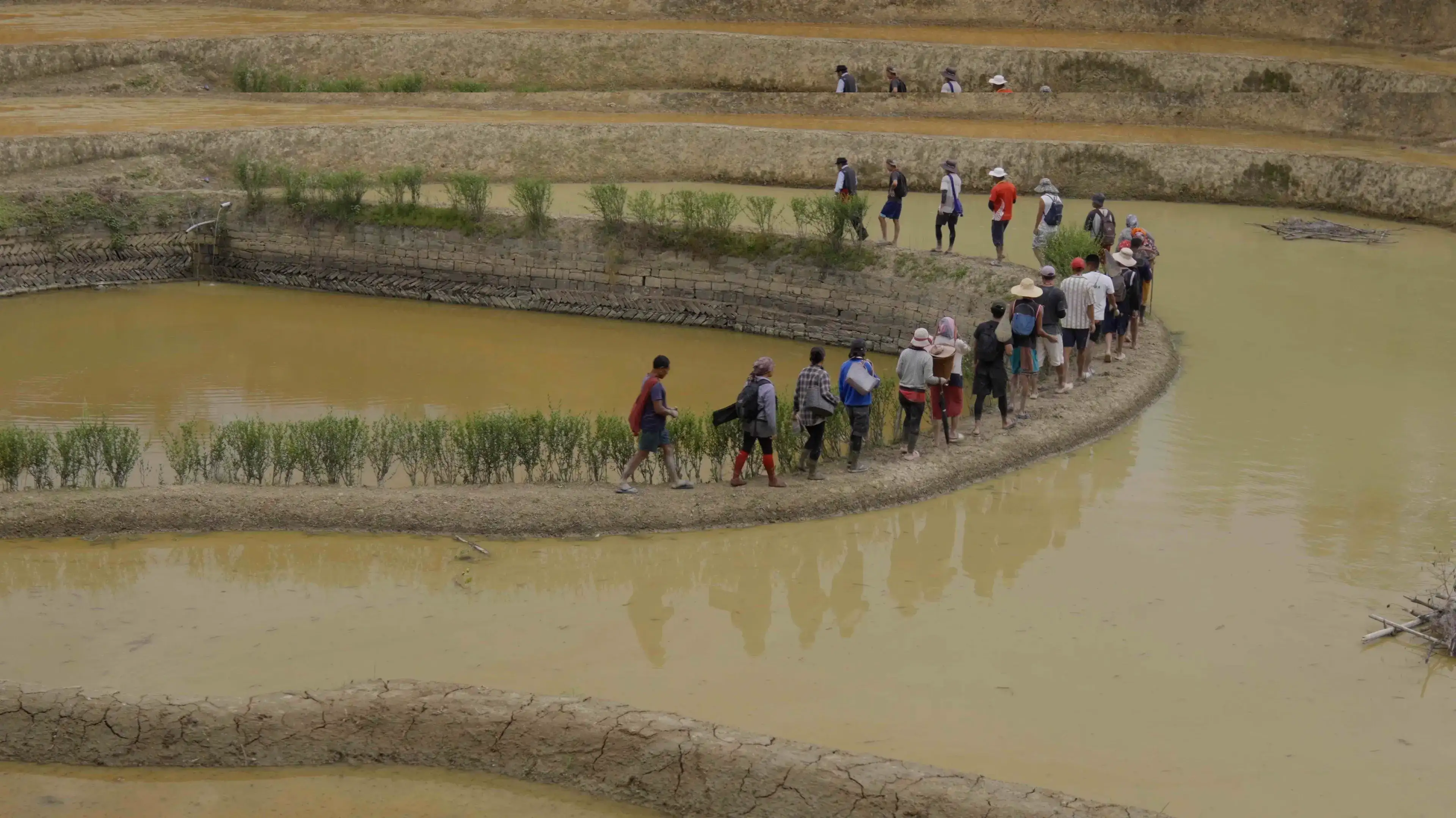How This Ancient Water System Feeds an Entire Nagaland Village