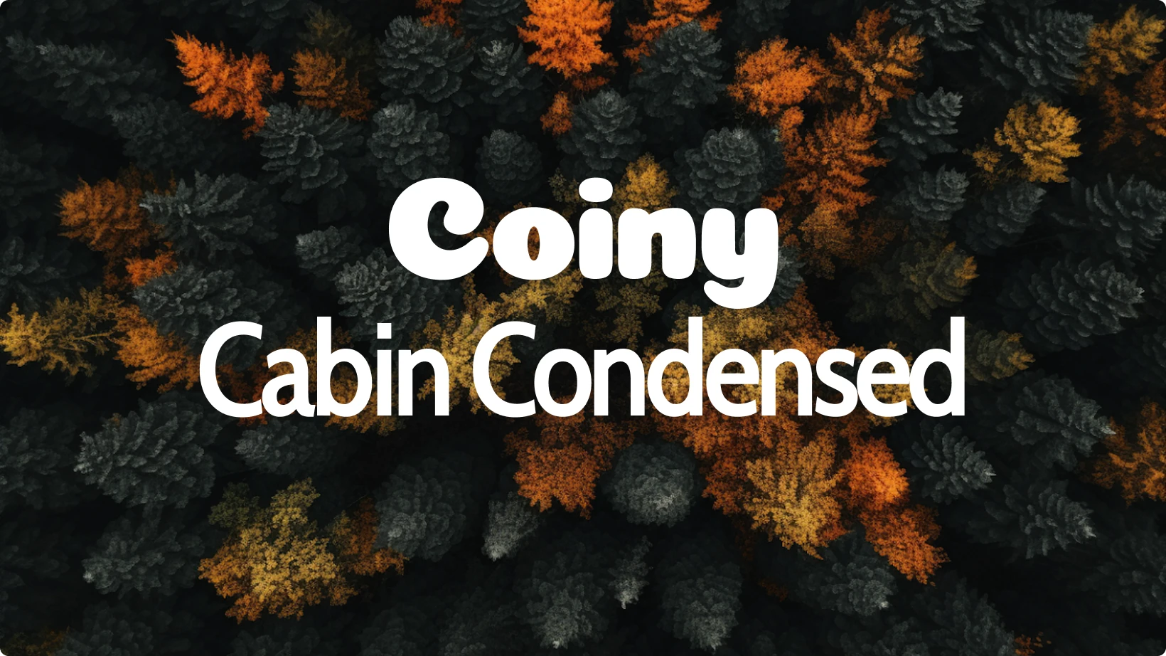Font pairing example showing the Coiny and Cabin Condensed fonts over an aerial forest background with green and orange trees. Bold, rounded Coiny font contrasts with the clean, narrow Cabin Condensed typeface