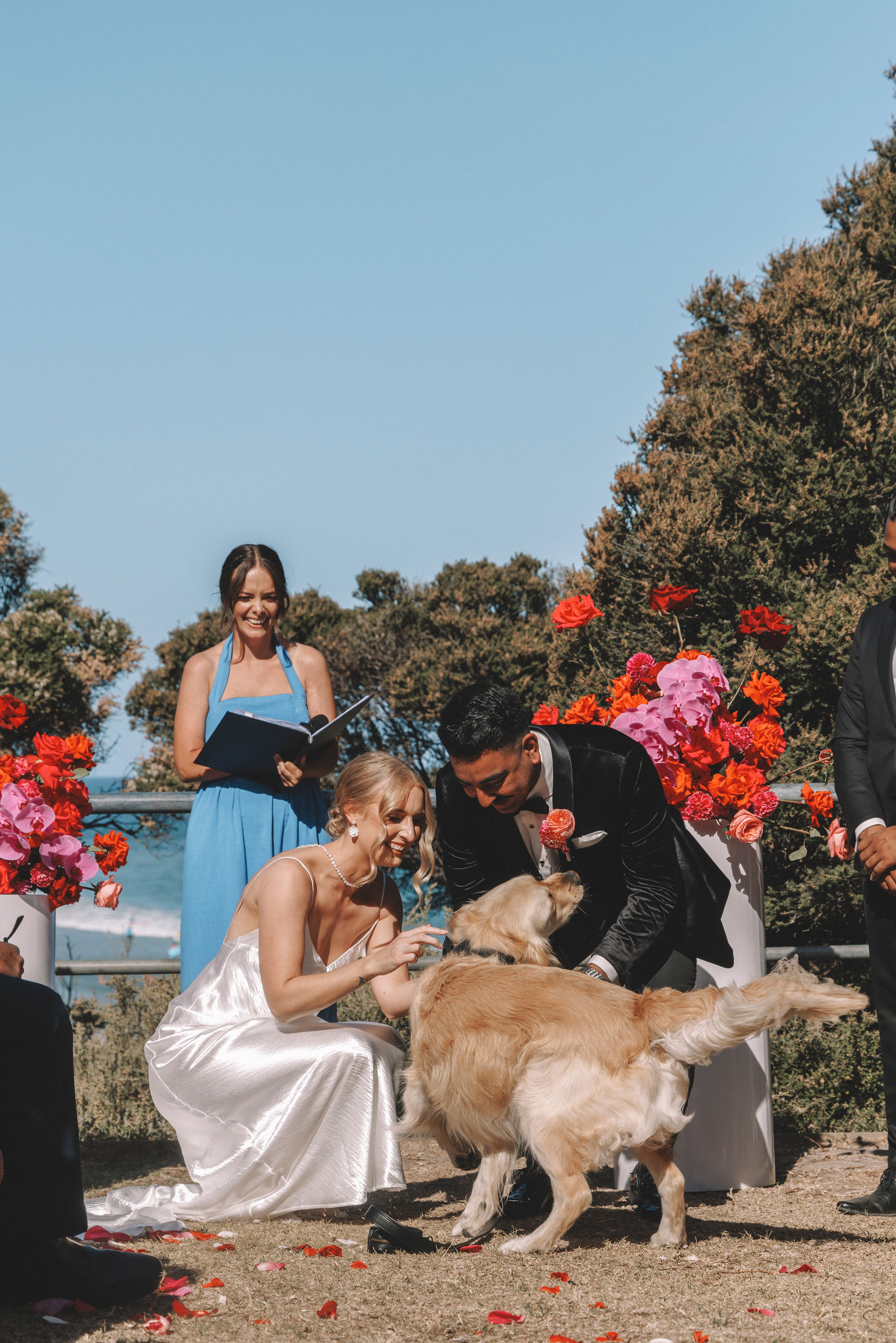 A bride and groom kneeling to greet their golden retriever during their clifftop ceremony