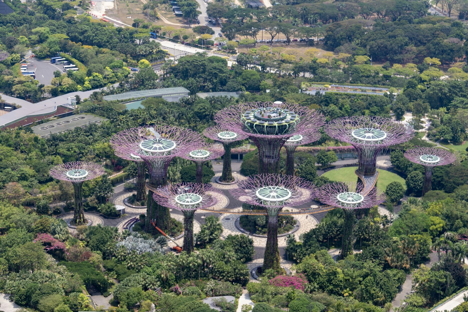 Supertrees des Gardens by the Bay à Singapour vus d'en haut