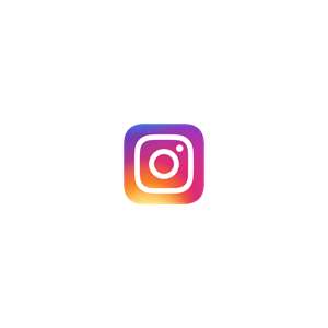 Logo Instagram du compte swapii_familii