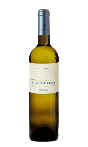 Moschofilero 