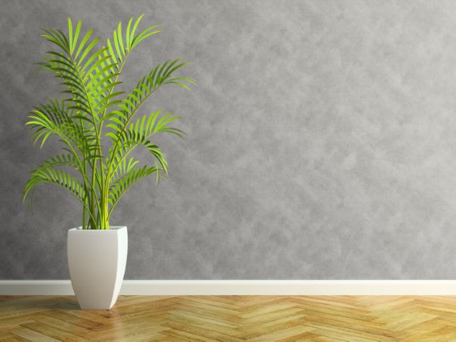 Eco-friendly exterior painting solutions in Lake Barcroft