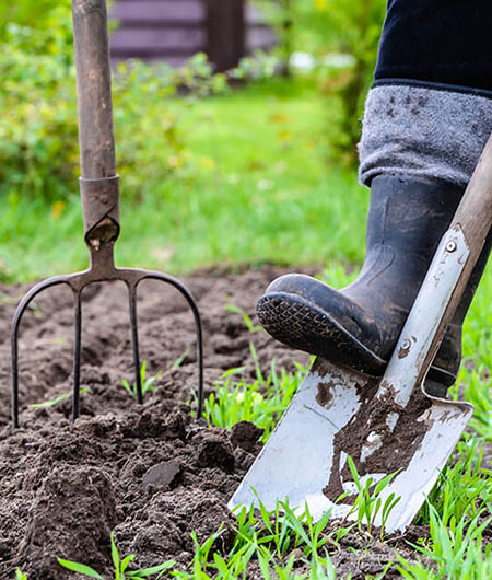 person preparing garden by digging hole