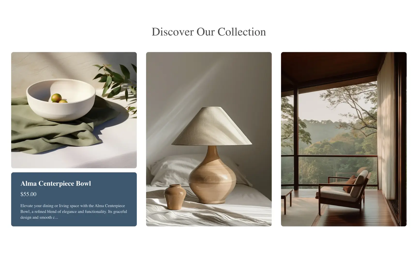 Interactive Collection Section