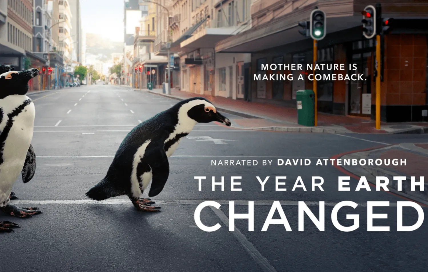 The Year Earth Changed with David Attenborough is now out on Apple TV+
