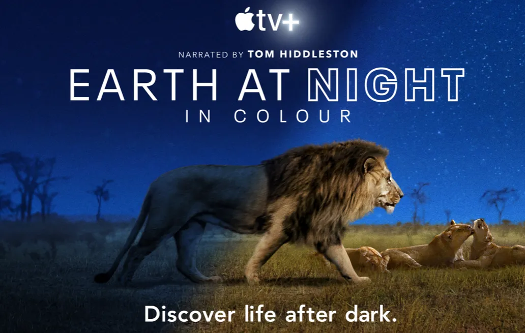 New ‘Earth at Night in Color’ show launches on Apple TV+
