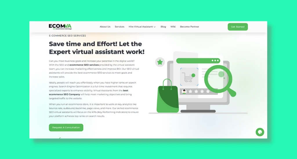Ecomm SEO Services