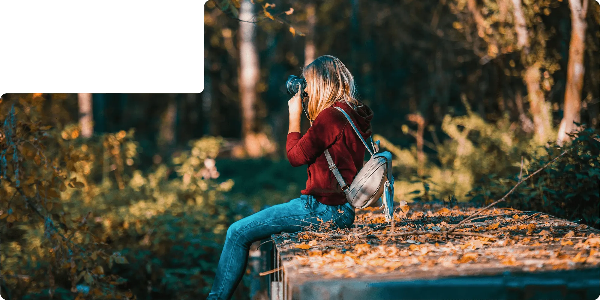 Photographer in the woods