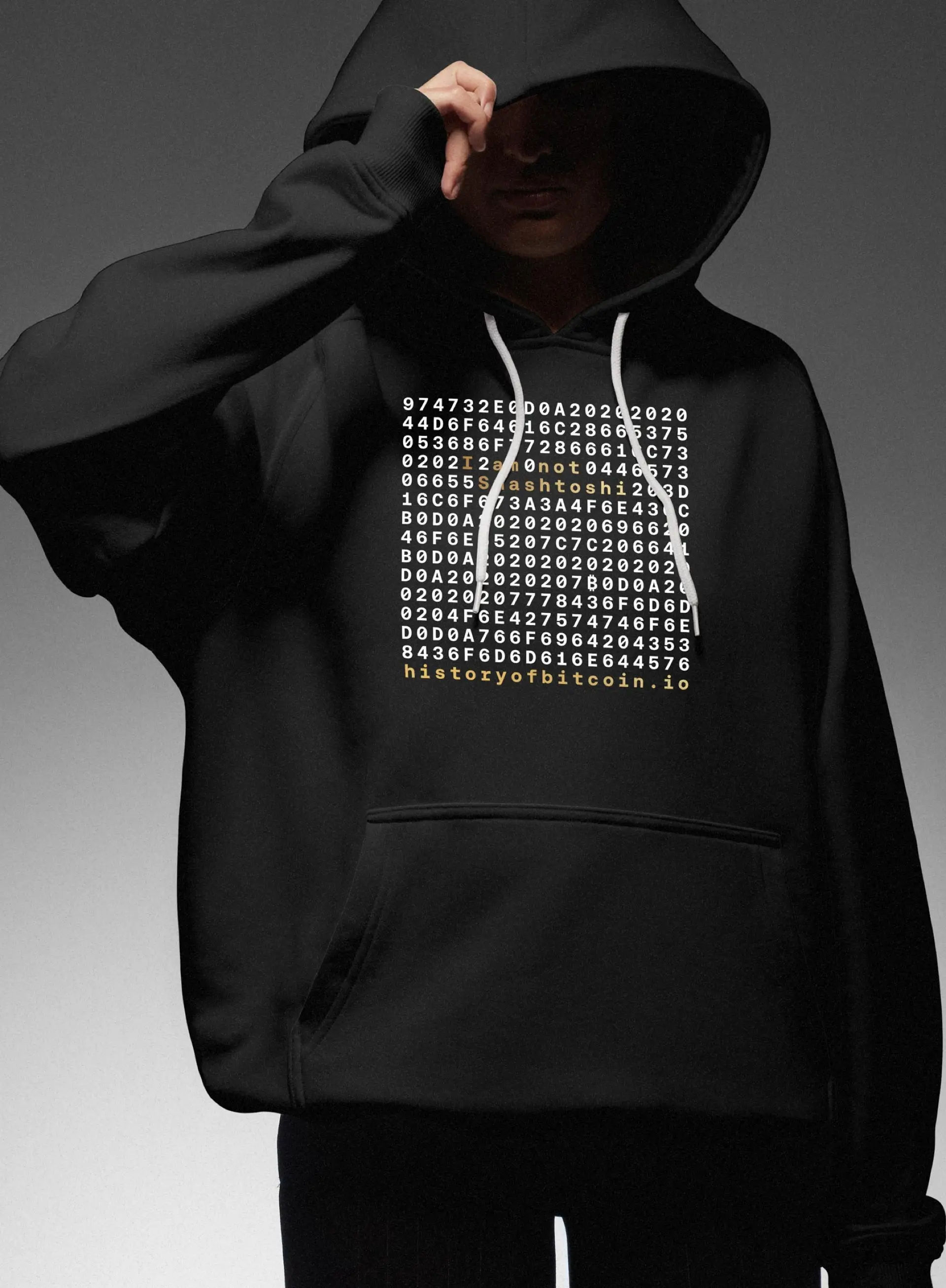 BIT History of Bitcoin hoodie