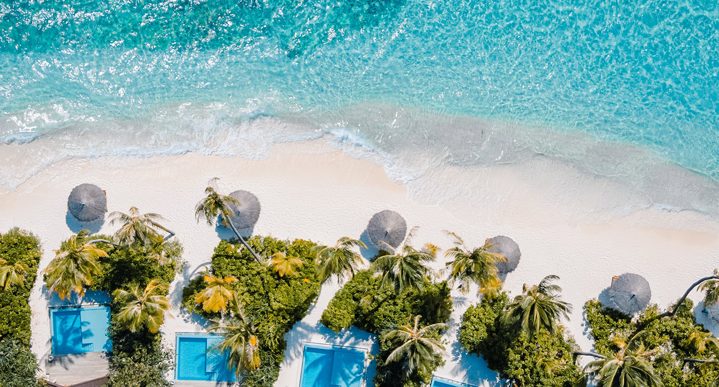 blue ocean with white sands and  coconut trees