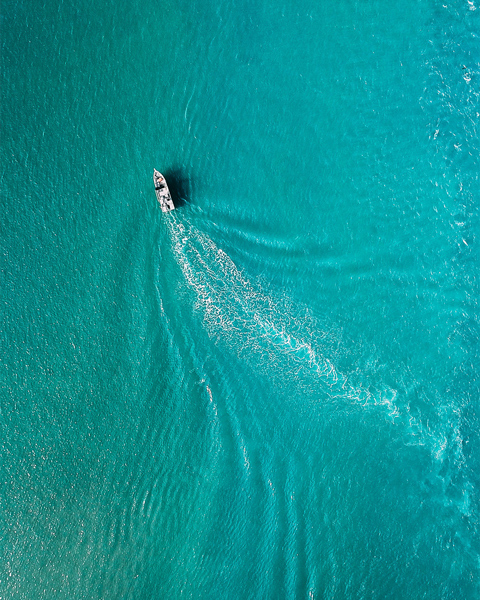 speedboat in a blue ocean