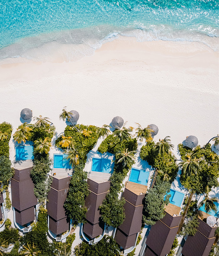 blue ocean with white sands and coconut trees