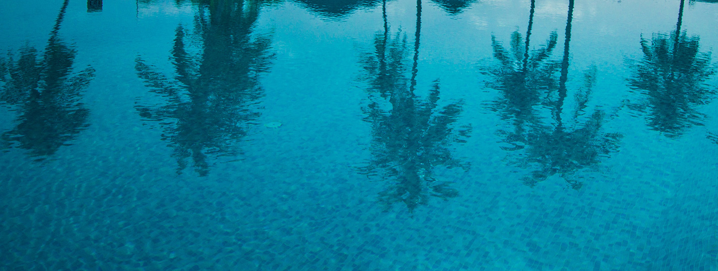 blue ocean with trees reflection