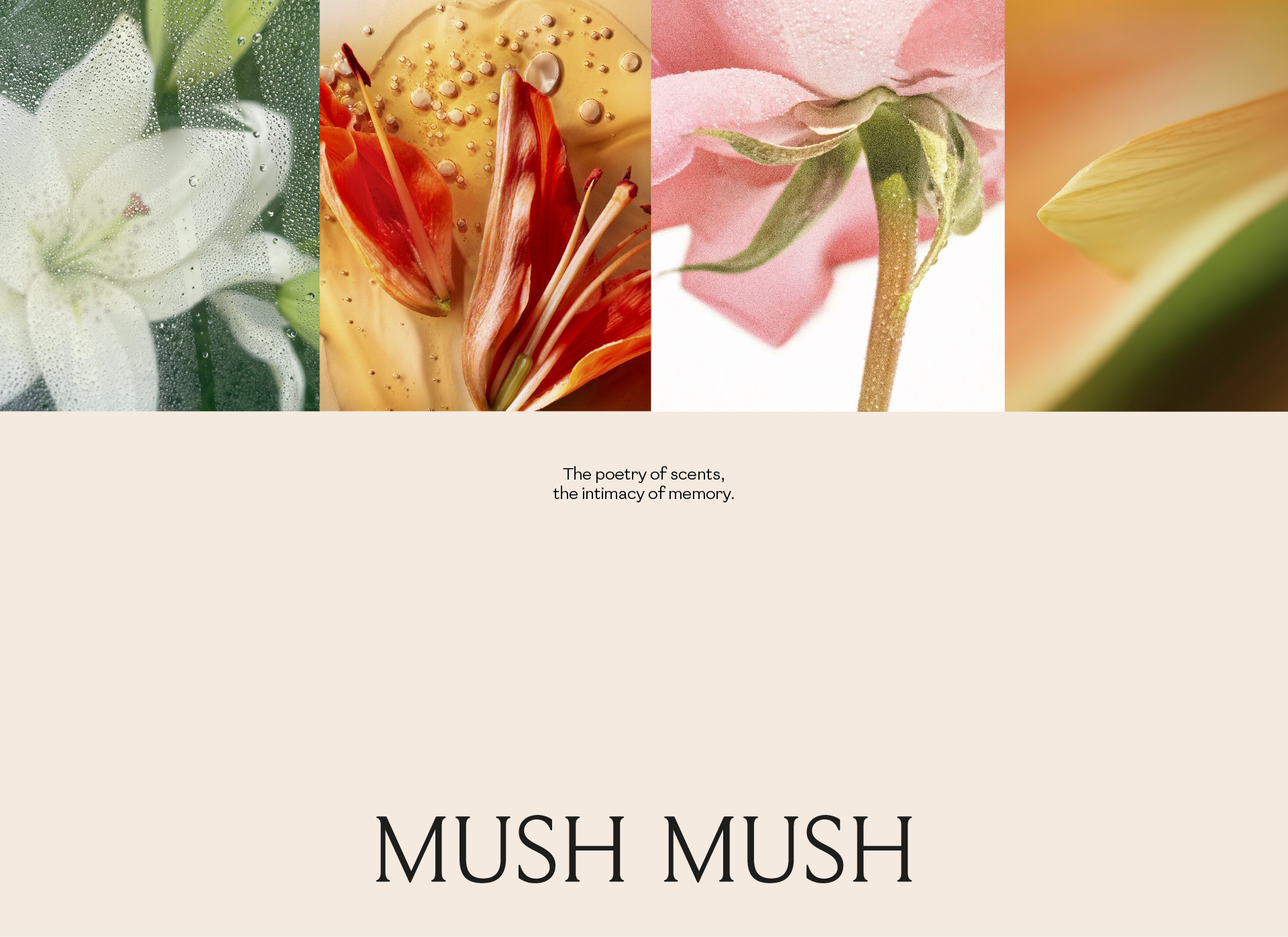 Mush Mush