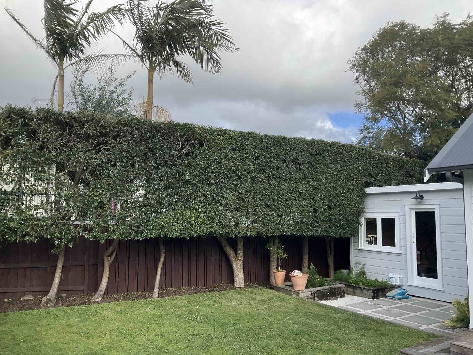 garden maintenance services