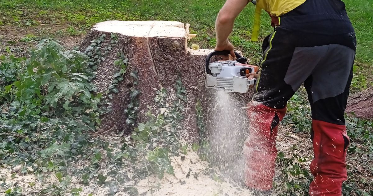 Choose the Right Cutting Method