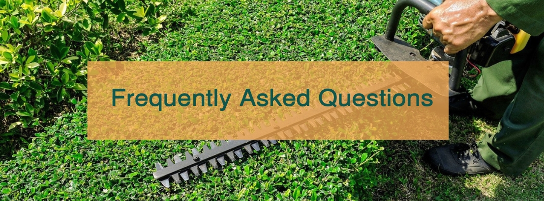 cheap tree trimming faqs