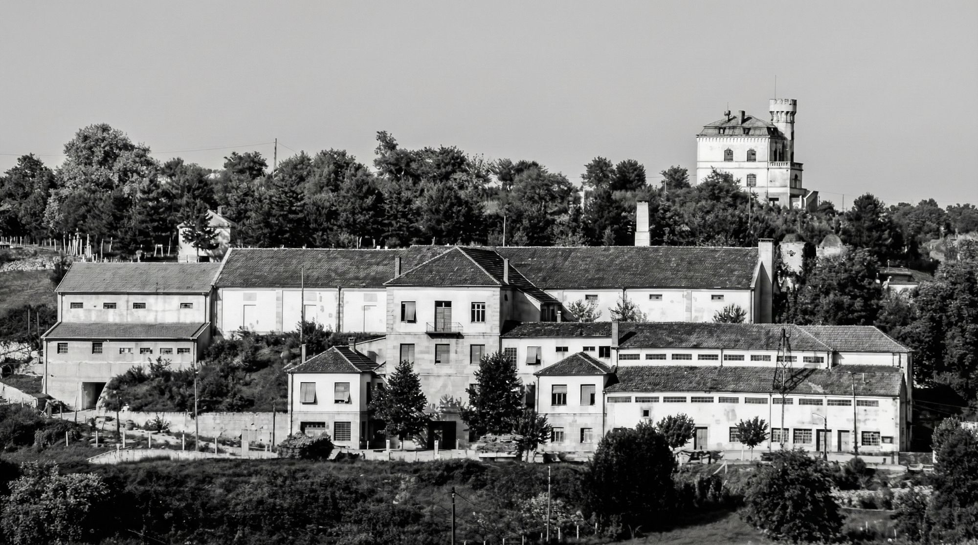 Podrum Džervin, Knjaževac — arhivska fotografija