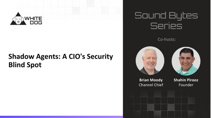 Shadow Agents: A CIO's Security Blind Spot