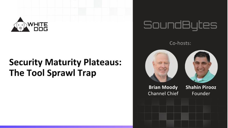Security Maturity Plateaus: The Tool Sprawl Trap 