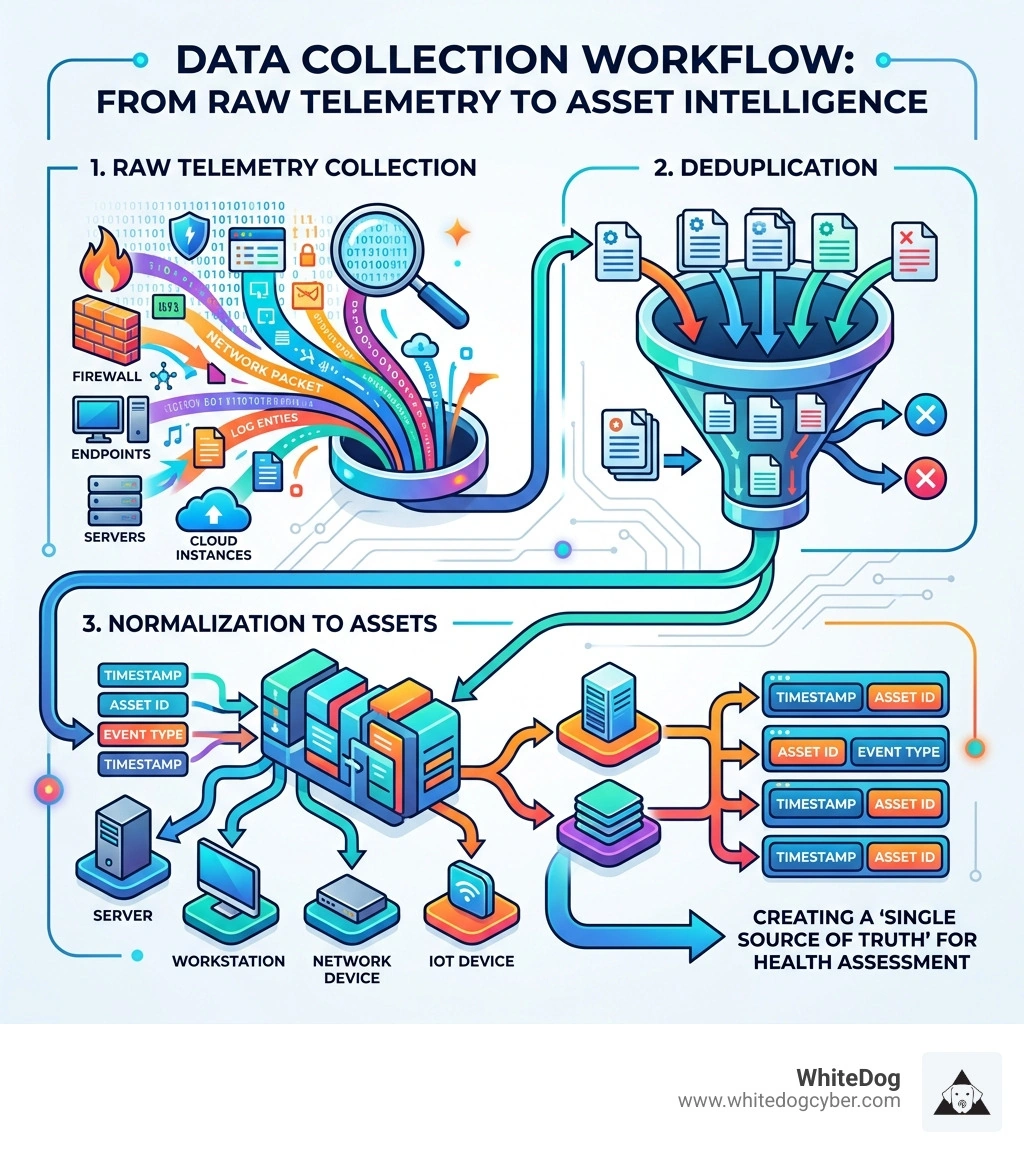 Infographic showing the data collection workflow: Raw telemetry collection, deduplication, and normalization to assets Infographic showing the data collection workflow: Raw telemetry collection, deduplication, and normalization to assets