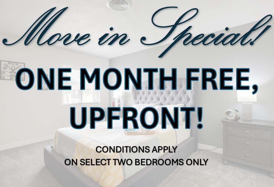 Oasis at Scottsdale popup with specials