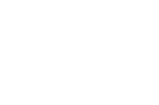 The Risk Protocol White Logo PNG