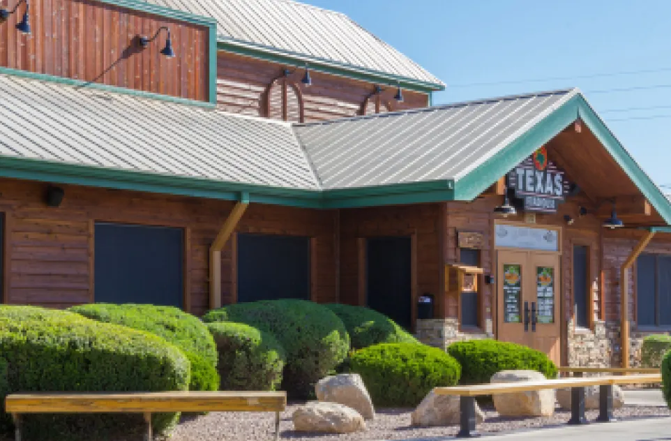 Citrus Trees in Tucson