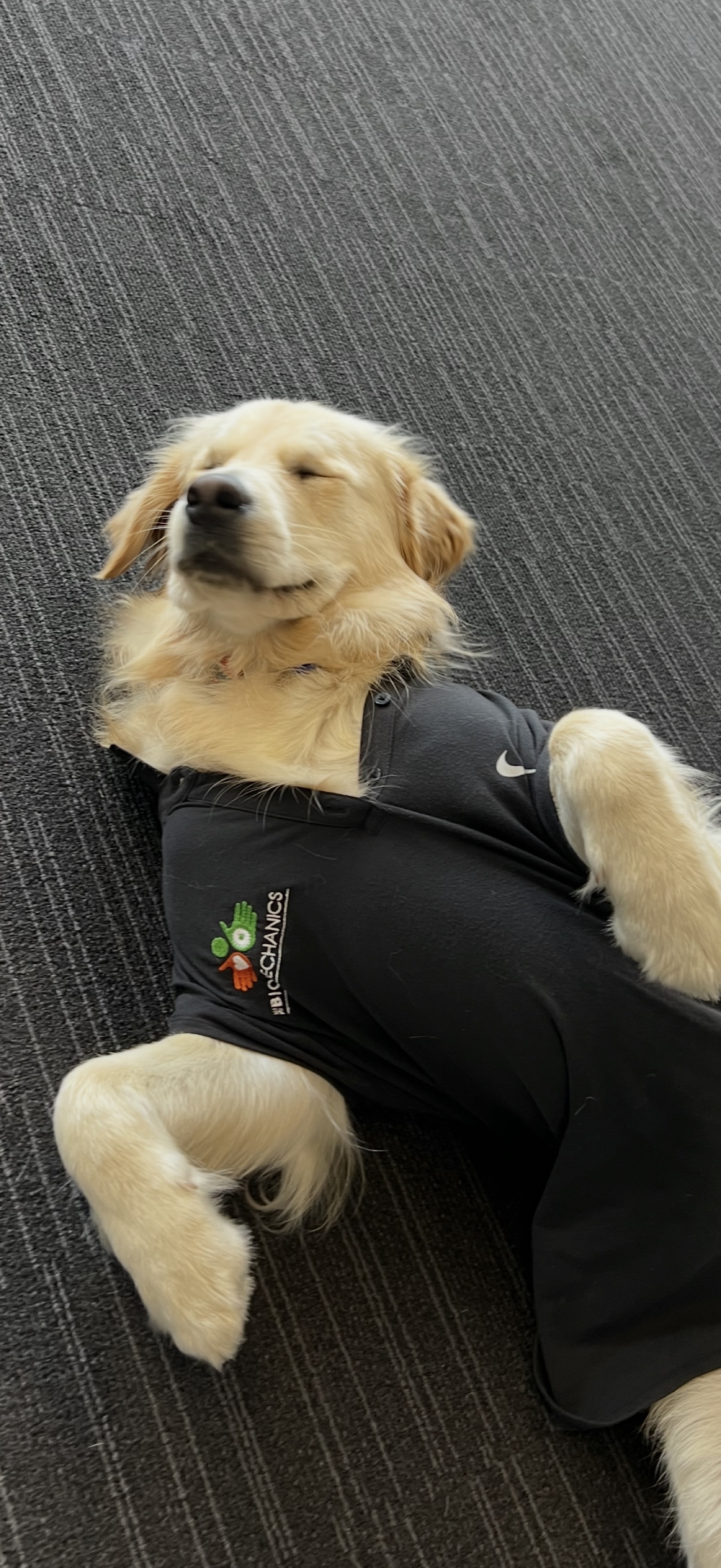 Clients exercising at The Biomechanics