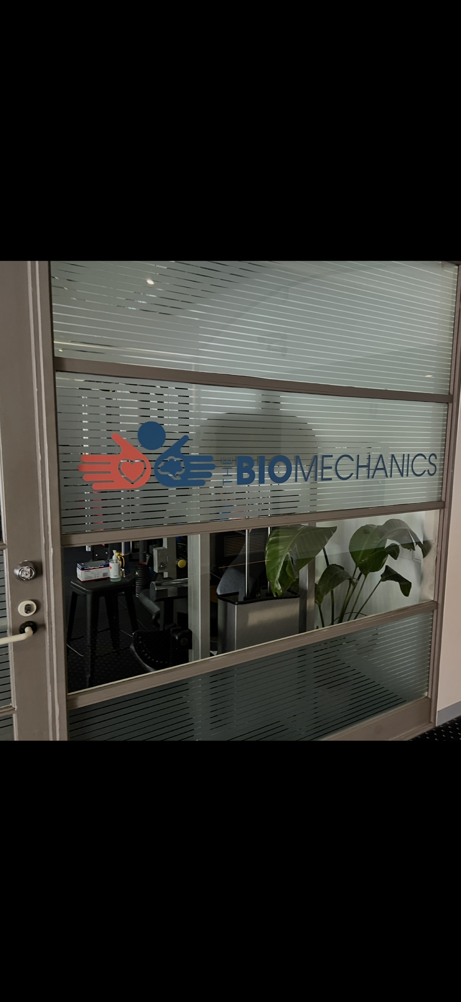 Luna the clinic dog at The Biomechanics