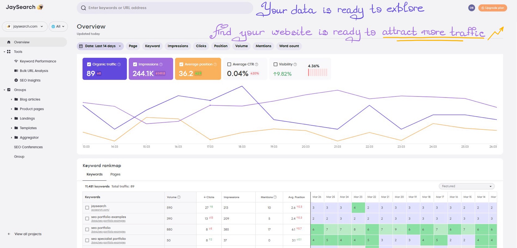 Keyword rankings displayed in a clean, organized dashboard for fast insights