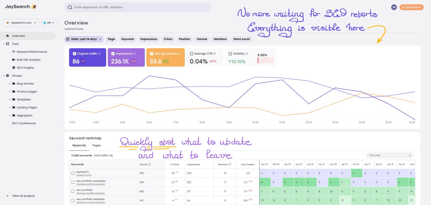 Simple dashboard overview showing content performance and SEO insights for teams