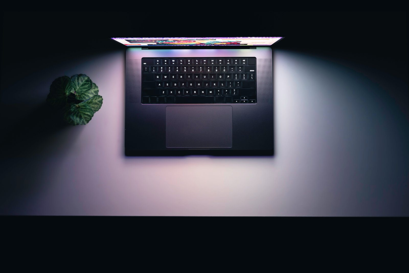 Ein Einkaufswagen auf einem Laptop Onlineshopping