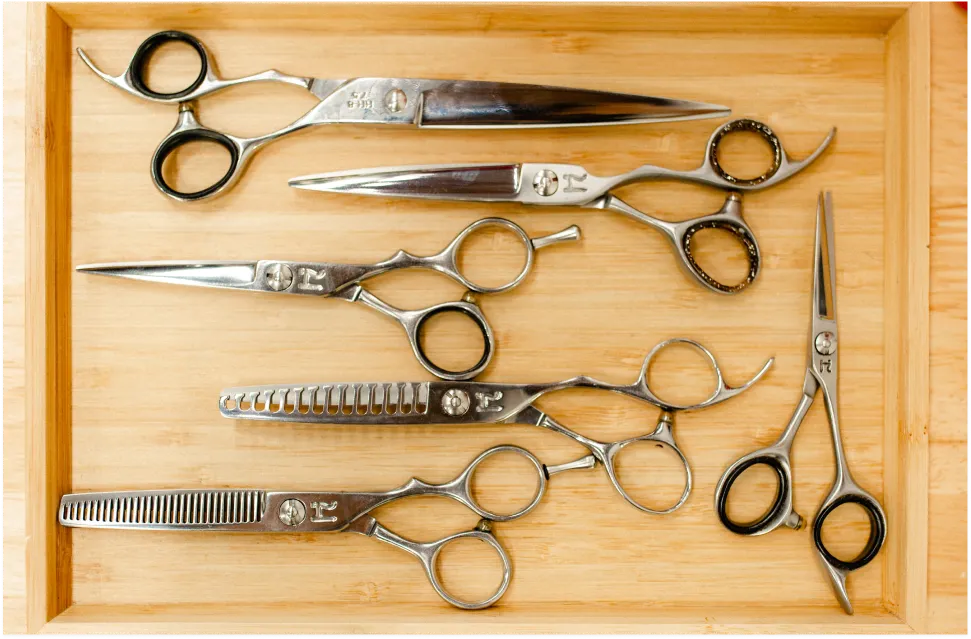 Professional barber shears and scissors used for men’s haircuts in a Lakeland, Florida barbershop